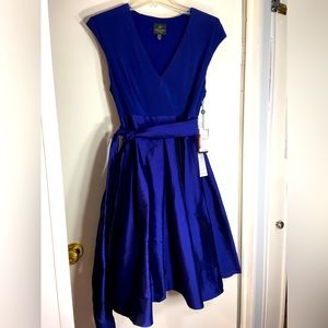 Adrianna Papell A line Dress